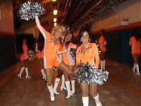 Sport and Fitness: Major League Baseball cheerleader girls