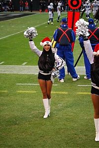 Sport and Fitness: Major League Baseball cheerleader girls