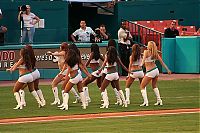 Sport and Fitness: Major League Baseball cheerleader girls