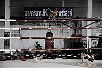 Sport and Fitness: School of martial arts in Thailand