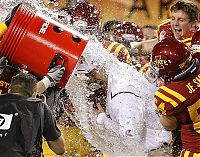 Sport and Fitness: Coach, celebrating the victory