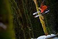 Sport and Fitness: winter sport