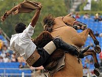 TopRq.com search results: Rodeo in Uruguay