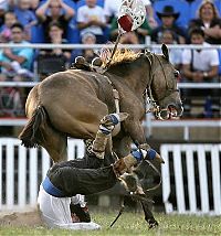 Sport and Fitness: Rodeo in Uruguay