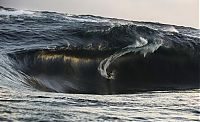 TopRq.com search results: surfing huge waves