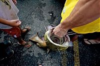 Sport and Fitness: Okie noodling tournament, United States