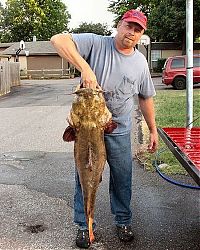 Sport and Fitness: Okie noodling tournament, United States