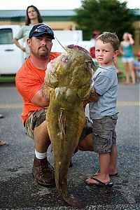 Sport and Fitness: Okie noodling tournament, United States