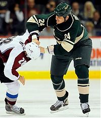 Sport and Fitness: ice hockey fight