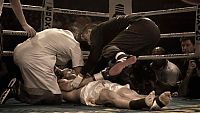 TopRq.com search results: mixed martial art