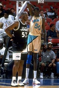 Sport and Fitness: Manute Bol, the tallest NBA player
