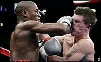 Sport and Fitness: boxing moments