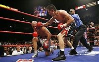 TopRq.com search results: boxing moments