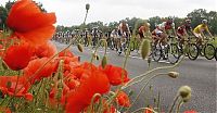 Sport and Fitness: Stage 4 crash, 2010 Tour de Suisse