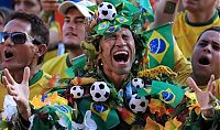 Sport and Fitness: 2010 FIFA World Cup fans