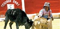Sport and Fitness: Enanitos Toreros De Torreon Las Vegas