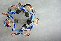 Sport and Fitness: TOPSHOTS-GYMNASTICS-RHYTHMIC-WORLD