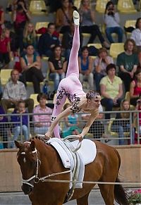 Sport and Fitness: 2010 World Equestrian Games, Lexington, Kentucky, United States