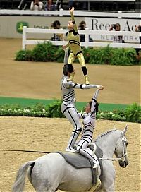 Sport and Fitness: 2010 World Equestrian Games, Lexington, Kentucky, United States