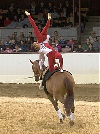 Sport and Fitness: 2010 World Equestrian Games, Lexington, Kentucky, United States