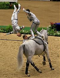 Sport and Fitness: 2010 World Equestrian Games, Lexington, Kentucky, United States