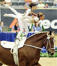 Sport and Fitness: 2010 World Equestrian Games, Lexington, Kentucky, United States