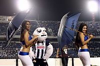 TopRq.com search results: Las Porristas, cheerleader girls from South and Latin America