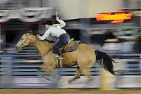 Sport and Fitness: most dangerous moments of rodeo