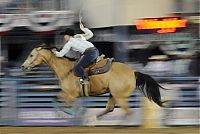 TopRq.com search results: most dangerous moments of rodeo