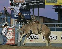 Sport and Fitness: most dangerous moments of rodeo