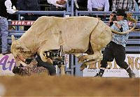 TopRq.com search results: most dangerous moments of rodeo