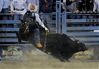 TopRq.com search results: most dangerous moments of rodeo