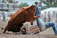 Sport and Fitness: most dangerous moments of rodeo