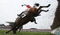 TopRq.com search results: rare funny moments in sport