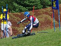 Sport and Fitness: grass skiing