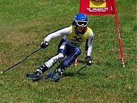 Sport and Fitness: grass skiing