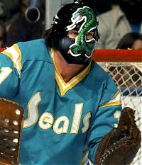 Sport and Fitness: hockey goalie mask