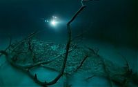 TopRq.com search results: cave diving