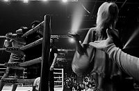 Sport and Fitness: boxing ring girls