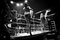 Sport and Fitness: boxing ring girls