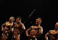 Sport and Fitness: bodybuilding pose