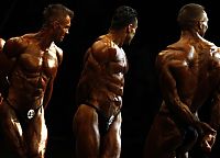 Sport and Fitness: bodybuilding pose