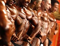 Sport and Fitness: bodybuilding pose