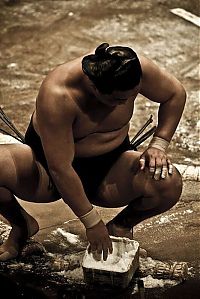 Sport and Fitness: sumo wrestling