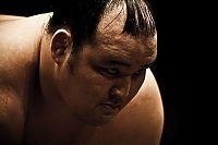 TopRq.com search results: sumo wrestling