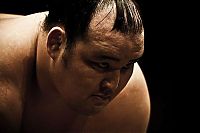 Sport and Fitness: sumo wrestling