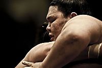 TopRq.com search results: sumo wrestling