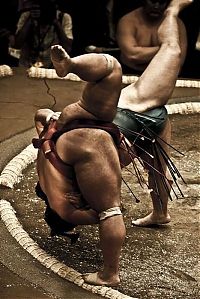 Sport and Fitness: sumo wrestling