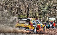 Sport and Fitness: World Rally Championship (WRC) cars in HDR