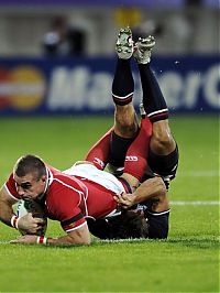 Sport and Fitness: 2011 Rugby World Cup, New Zealand